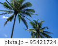 Green juicy palm trees against a beautiful blue sky. Paradise Island Bali 95421724