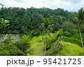 Green juicy palm trees against a beautiful blue sky. Paradise Island Bali 95421725