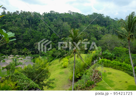 Green juicy palm trees against a beautiful blue sky. Paradise Island Bali 95421725