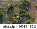 Crop fields and groves in nature park, aerial view 95424628