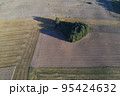 Crop fields and grove in nature park, aerial view 95424632