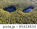 Forest face, forest eyes. Two small lakes in forest, aerial view 95424634