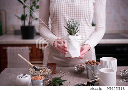 Woman holding Potted Succulent haworthia Plant in White ceramic Pot Woman holding Potted Succulent haworthia Plant in White ceramic Pot 95425518