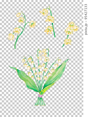 スズランの水彩画イラスト 95427133