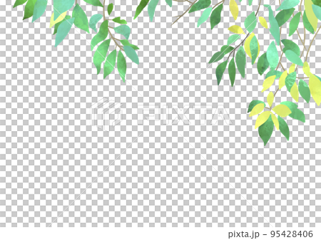 Watercolor leaves background illustration 95428406