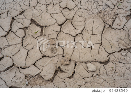 texture of the earth which has cracked from a heat. 95428549