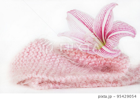 pink knitting wool scarf with flowers of lifestyle woman relax in winter pink knitting wool scarf with flowers of lifestyle woman relax in winter 95429054
