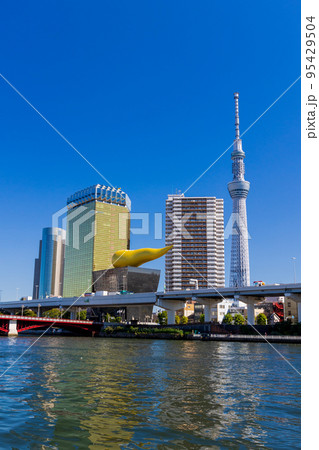 隅田川から東京スカイツリーの眺め 隅田川から東京スカイツリーの眺め 95429504