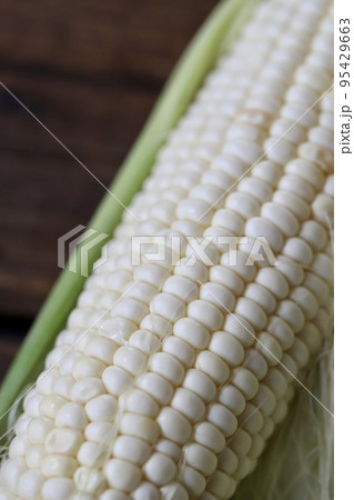 生で食べられる白いトウモロコシ　北海道産のピュアホワイト 95429663