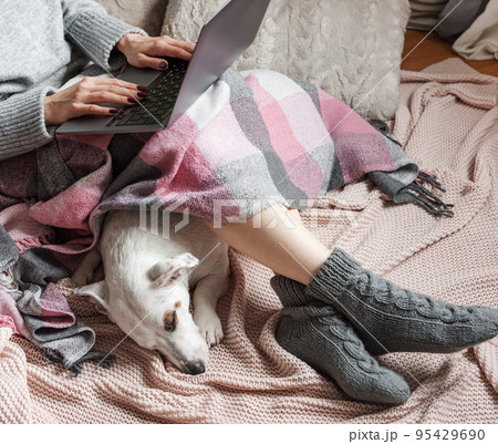 Cozy home, woman covered with warm blanket, drinks coffee,  sleeping dog next to woman. 95429690