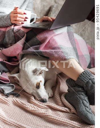 Cozy home, woman covered with warm blanket, drinks coffee, sleeping dog next to woman. Cozy home, woman covered with warm blanket, drinks coffee, sleeping dog next to woman. 95429691