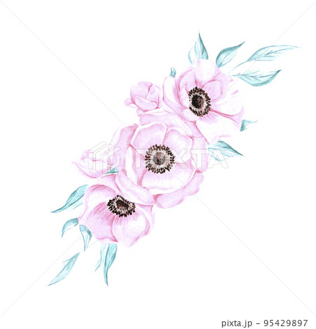 Handdrawn anemone composition. Watercolor wind flower on the white background. Scrapbook design elements. Typography poster, card, label, banner. 95429897