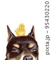 Chick standing on the head of a small dog. 95430220