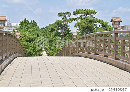 草加宿散歩・おくのほそ道の風景地　草加松原 95430347