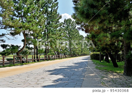 草加宿散歩・おくのほそ道の風景地　草加松原 95430368