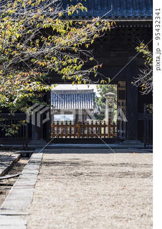 大樹寺(岡崎市)境内より総門を通して岡崎城を眺める(ビスタライン) 大樹寺(岡崎市)境内より総門を通して岡崎城を眺める(ビスタライン) 95432341
