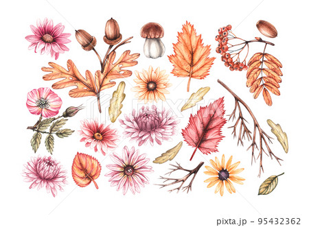 Watercolor autumn set on a white background Watercolor autumn set on a white background 95432362