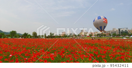 花畑 晴れ カラフル 95432411