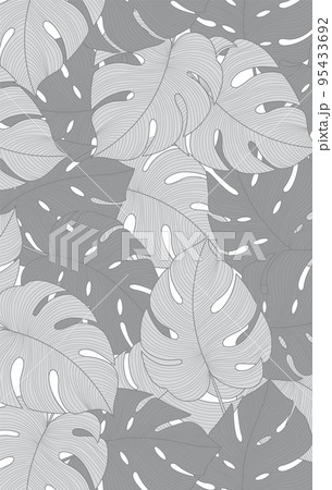 Gray color of tropical leaves pattern style on white background, flat line vector and illustration. Gray color of tropical leaves pattern style on white background, flat line vector and illustration. 95433692