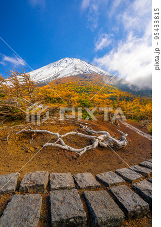 奥庭の紅葉 富士山 奥庭の紅葉 富士山 95433815