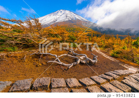 奥庭の紅葉　富士山 95433821