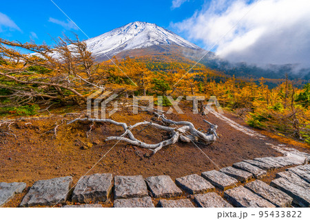 奥庭の紅葉 富士山 奥庭の紅葉 富士山 95433822
