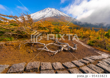奥庭の紅葉 富士山 奥庭の紅葉 富士山 95433823