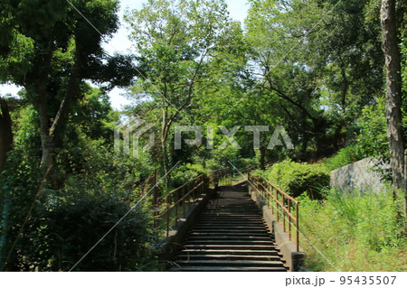 木々に囲まれた日本の住宅街の公園への階段(6月) 95435507