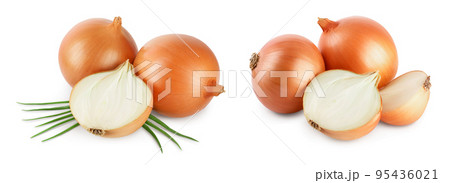 yellow onion isolated on white background close up 95436021
