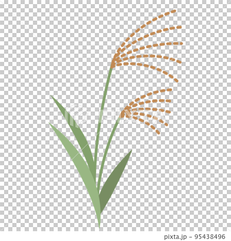 Illustration of a simple pampas grass Illustration of a simple pampas grass 95438496