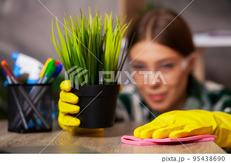 A housewife takes care of houseplants at home 95438690