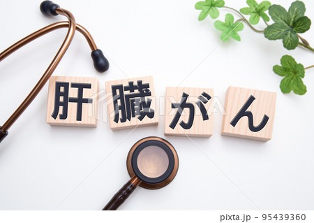 肝臓がん 95439360