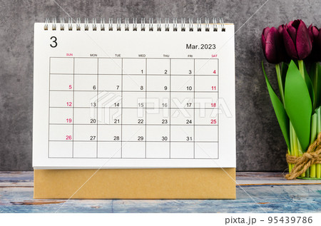 The March 2023 Desk calendar for 2023 year with flower on wooden background. 95439786