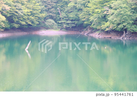 曇り空の青森県津軽国定公園の景色 95441761