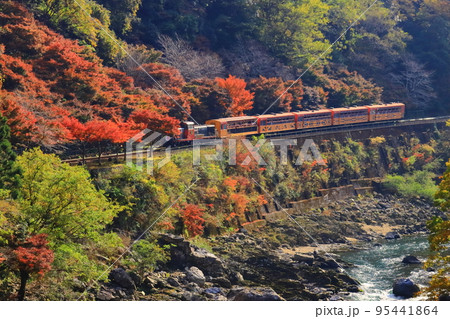 トロッコ列車（京都　嵯峨野）が保津峡を走る 95441864