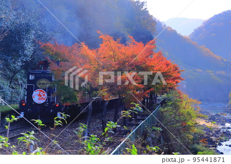 トロッコ列車(京都 嵯峨野)と紅葉 トロッコ列車(京都 嵯峨野)と紅葉 95441871
