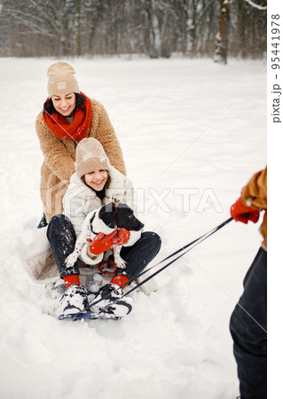 Joyful teens and their beautiful mother spending time together with lovely black dog in the winter park. Family riding on a sled. Dog wearing hoop with deer ears. 95441978