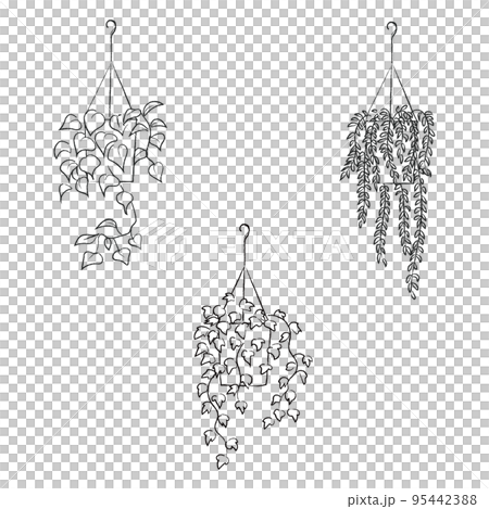 光滑的內部綠色線描集 95442388