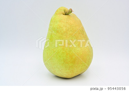 洋梨　マルゲリット・マリーラ 95443056