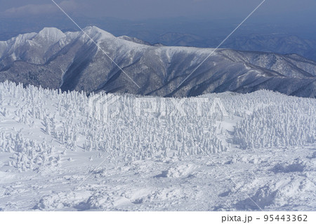 冬の蔵王　スノーモンスター　日本三大樹氷（山形観光） 95443362