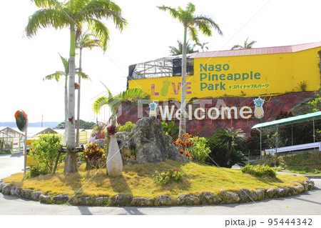 ナゴパイナップルパーク／沖縄県名護市為又 95444342