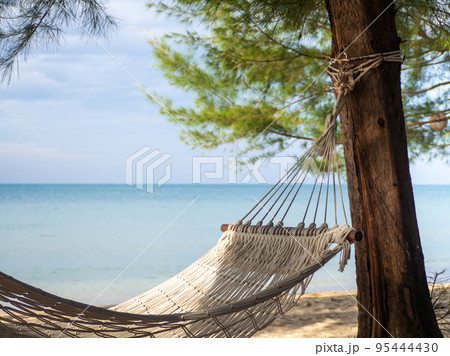The hammock hung on the tree. On the background are the sea and the beach. The hammock hung on the tree. On the background are the sea and the beach. 95444430