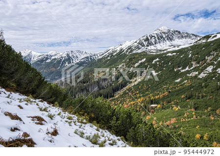 Autumn scene in Temnosmrecinska valley, High Tatras mountain, Slovakia 95444972