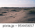 日が沈む砂浜 95445657