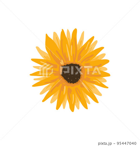 Hand drawn colorful sunflower doodle style, vector illustration isolated on white background. Bright yellow shades petals, decorative design element, natural plant Hand drawn colorful sunflower doodle style, vector illustration isolated on white background. Bright yellow shades petals, decorative design element, natural plant 95447040