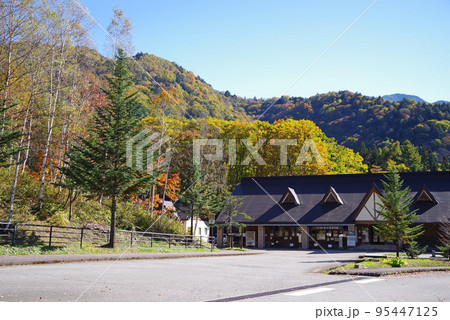 平湯温泉あかんだな駐車場の紅葉風景 95447125