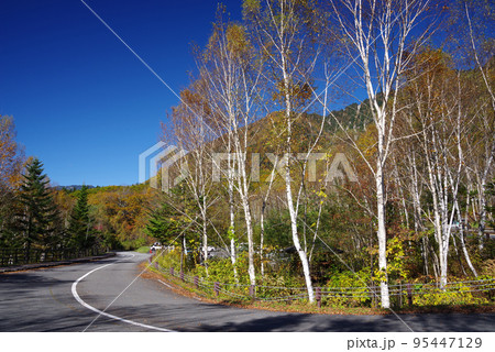 平湯温泉あかんだな駐車場の紅葉風景 平湯温泉あかんだな駐車場の紅葉風景 95447129