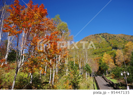 平湯温泉あかんだな駐車場の紅葉風景 95447135