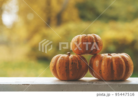 Autumn background. Pumpkins for decor and home decoration for Halloween and Thanksgiving. October, November, atmosphere and autumn mood concept. Autumn background. Pumpkins for decor and home decoration for Halloween and Thanksgiving. October, November, atmosphere and autumn mood concept. 95447516