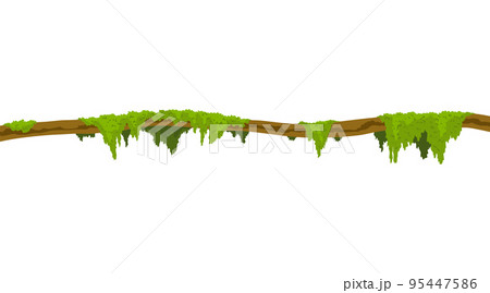 Lianas stem border. Rainforest green vine or twisted plant hanging on branch. Cartoon jungle creeper, leaves or moss on tree. Vector isolated game scenery element. Tropical nature plant 95447586